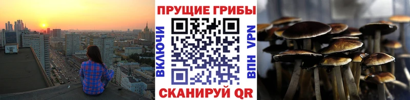Псилоцибиновые грибы мицелий  закладка  Искитим 