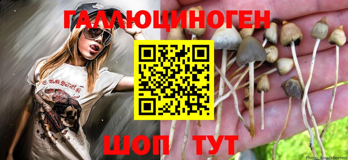 Галлюциногенные грибы мухоморы  Вход с VPN  Искитим 