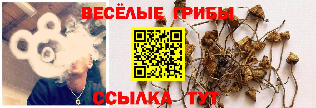 ГАШ Искитим